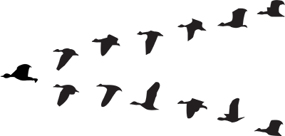 team consultants for business in singapore